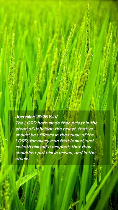 Picture 02 - Jeremiah 29:26 KJV Mobile Phone Wallpaper - The LORD hath made thee priest in the stead of - Mobile Bible Verse Wallpaper