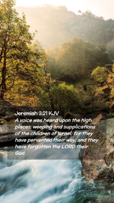 Picture 02 - Jeremiah 3:21 KJV Mobile Phone Wallpaper - A voice was heard upon the high places, weeping - Mobile Bible Verse Wallpaper