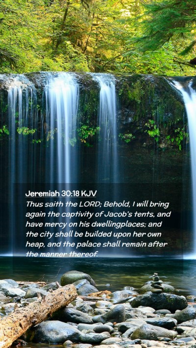 Picture 02 - Jeremiah 30:18 KJV Mobile Phone Wallpaper - Thus saith the LORD; Behold, I will bring again - Mobile Bible Verse Wallpaper