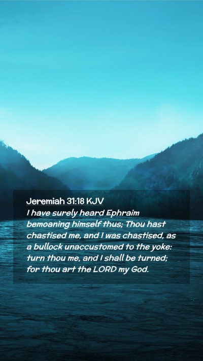 Picture 02 - Jeremiah 31:18 KJV Mobile Phone Wallpaper - I have surely heard Ephraim bemoaning himself - Mobile Bible Verse Wallpaper