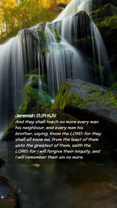 Picture 02 - Jeremiah 31:34 KJV Mobile Phone Wallpaper - And they shall teach no more every man his - Mobile Bible Verse Wallpaper