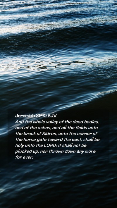 Picture 02 - Jeremiah 31:40 KJV Mobile Phone Wallpaper - And the whole valley of the dead bodies, and of - Mobile Bible Verse Wallpaper