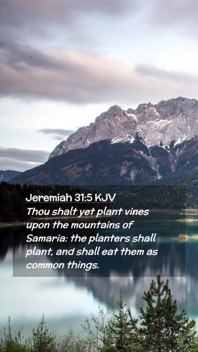 Picture 02 - Jeremiah 31:5 KJV Mobile Phone Wallpaper - Thou shalt yet plant vines upon the mountains of - Mobile Bible Verse Wallpaper
