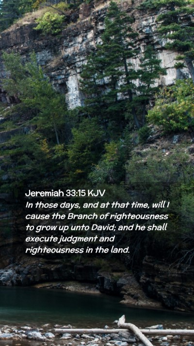 Picture 02 - Jeremiah 33:15 KJV Mobile Phone Wallpaper - In those days, and at that time, will I cause the - Mobile Bible Verse Wallpaper