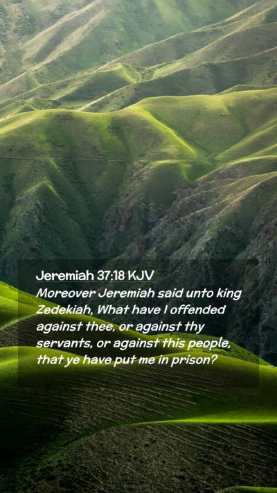 Picture 02 - Jeremiah 37:18 KJV Mobile Phone Wallpaper - Moreover Jeremiah said unto king Zedekiah, What - Mobile Bible Verse Wallpaper