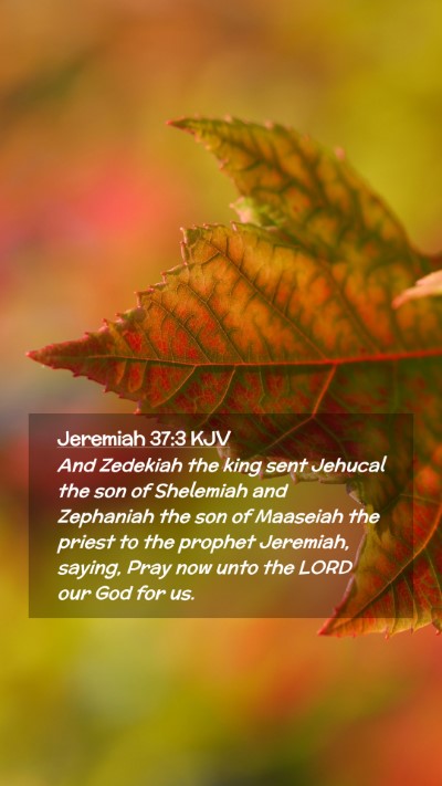 Picture 02 - Jeremiah 37:3 KJV Mobile Phone Wallpaper - And Zedekiah the king sent Jehucal the son of - Mobile Bible Verse Wallpaper