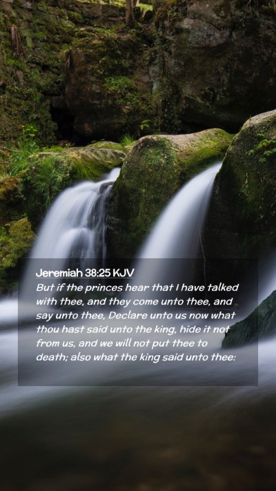 Picture 02 - Jeremiah 38:25 KJV Mobile Phone Wallpaper - But if the princes hear that I have talked with - Mobile Bible Verse Wallpaper