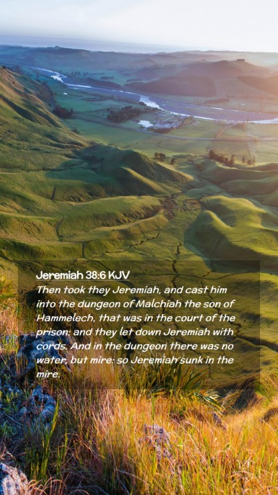 Picture 02 - Jeremiah 38:6 KJV Mobile Phone Wallpaper - Then took they Jeremiah, and cast him into the - Mobile Bible Verse Wallpaper