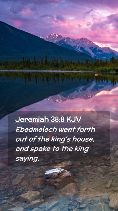 Picture 02 - Jeremiah 38:8 KJV Mobile Phone Wallpaper - Ebedmelech went forth out of the king's house, - Mobile Bible Verse Wallpaper