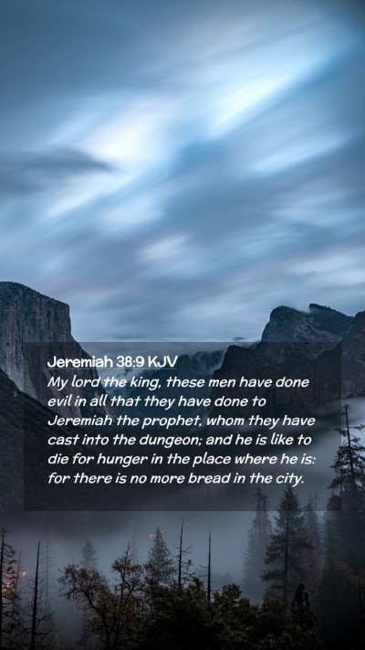 Picture 02 - Jeremiah 38:9 KJV Mobile Phone Wallpaper - My lord the king, these men have done evil in all - Mobile Bible Verse Wallpaper