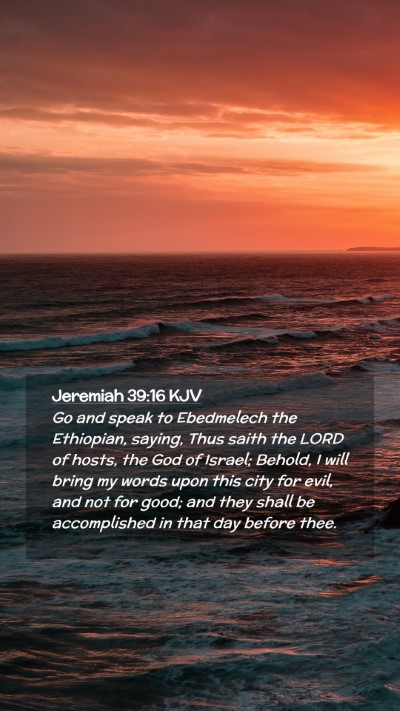 Picture 02 - Jeremiah 39:16 KJV Mobile Phone Wallpaper - Go and speak to Ebedmelech the Ethiopian, saying, - Mobile Bible Verse Wallpaper