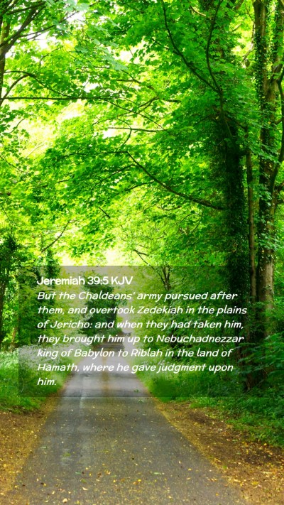 Picture 02 - Jeremiah 39:5 KJV Mobile Phone Wallpaper - But the Chaldeans' army pursued after them, and - Mobile Bible Verse Wallpaper
