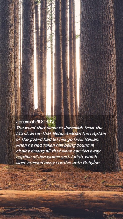 Picture 02 - Jeremiah 40:1 KJV Mobile Phone Wallpaper - The word that came to Jeremiah from the LORD, - Mobile Bible Verse Wallpaper