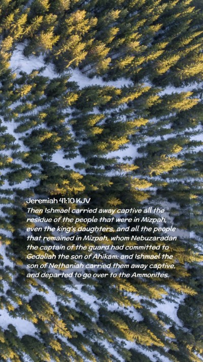 Picture 02 - Jeremiah 41:10 KJV Mobile Phone Wallpaper - Then Ishmael carried away captive all the residue - Mobile Bible Verse Wallpaper
