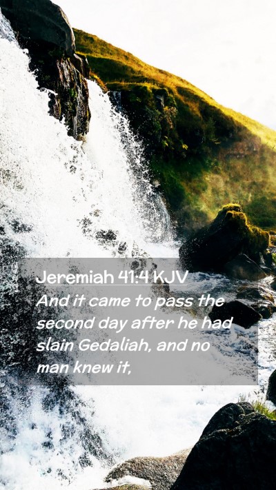 Picture 02 - Jeremiah 41:4 KJV Mobile Phone Wallpaper - And it came to pass the second day after he had - Mobile Bible Verse Wallpaper