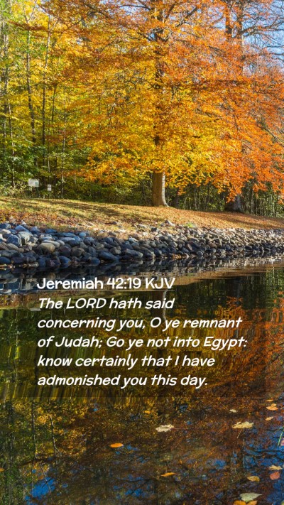 Picture 02 - Jeremiah 42:19 KJV Mobile Phone Wallpaper - The LORD hath said concerning you, O ye remnant - Mobile Bible Verse Wallpaper