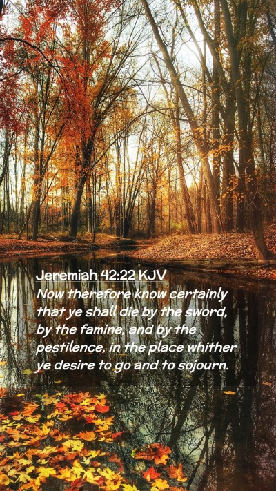 Picture 02 - Jeremiah 42:22 KJV Mobile Phone Wallpaper - Now therefore know certainly that ye shall die by - Mobile Bible Verse Wallpaper