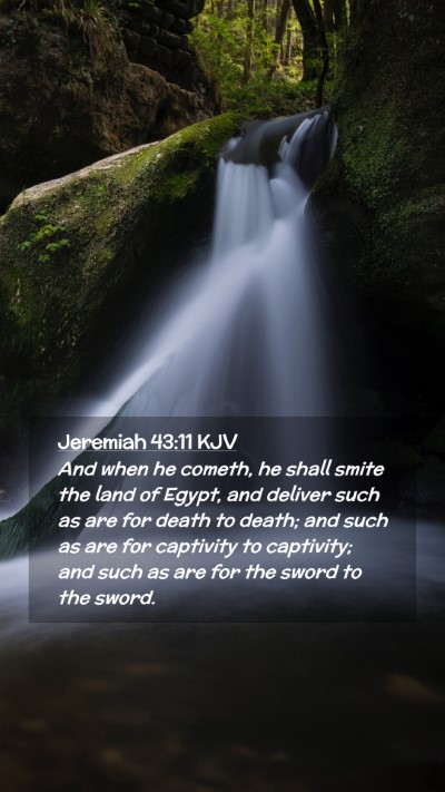 Picture 02 - Jeremiah 43:11 KJV Mobile Phone Wallpaper - And when he cometh, he shall smite the land of - Mobile Bible Verse Wallpaper
