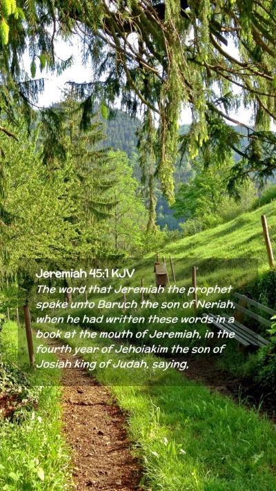 Picture 02 - Jeremiah 45:1 KJV Mobile Phone Wallpaper - The word that Jeremiah the prophet spake unto - Mobile Bible Verse Wallpaper