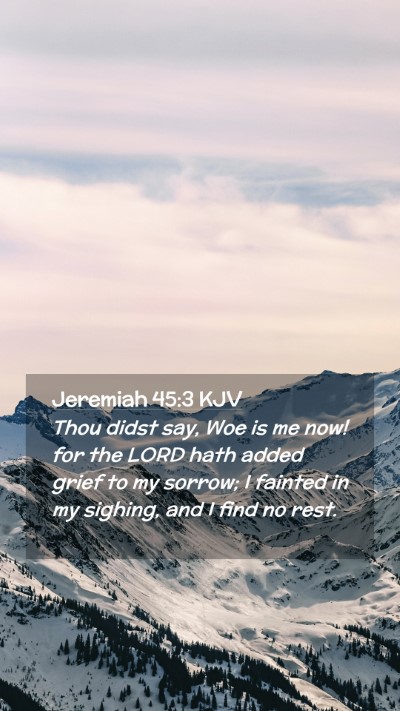 Picture 02 - Jeremiah 45:3 KJV Mobile Phone Wallpaper - Thou didst say, Woe is me now! for the LORD hath - Mobile Bible Verse Wallpaper