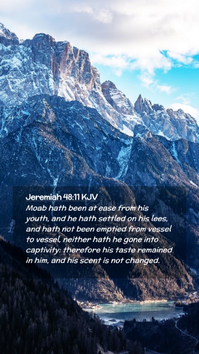 Picture 02 - Jeremiah 48:11 KJV Mobile Phone Wallpaper - Moab hath been at ease from his youth, and he - Mobile Bible Verse Wallpaper