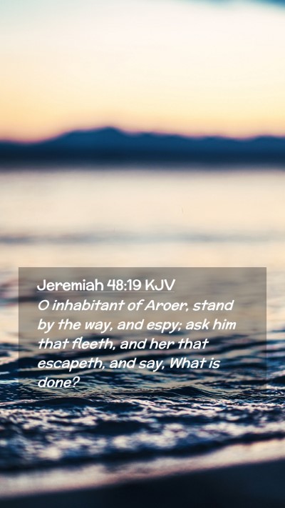 Picture 02 - Jeremiah 48:19 KJV Mobile Phone Wallpaper - O inhabitant of Aroer, stand by the way, and - Mobile Bible Verse Wallpaper