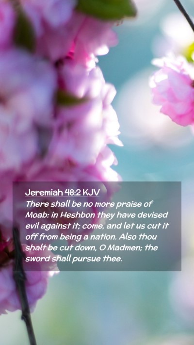 Picture 02 - Jeremiah 48:2 KJV Mobile Phone Wallpaper - There shall be no more praise of Moab: in Heshbon - Mobile Bible Verse Wallpaper