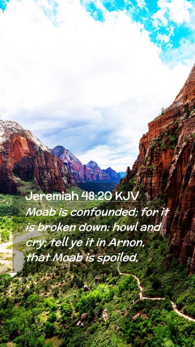 Picture 02 - Jeremiah 48:20 KJV Mobile Phone Wallpaper - Moab is confounded; for it is broken down: howl - Mobile Bible Verse Wallpaper