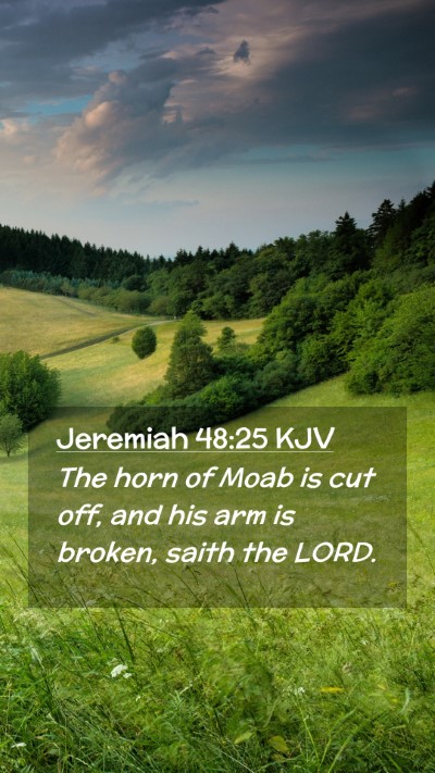 Picture 02 - Jeremiah 48:25 KJV Mobile Phone Wallpaper - The horn of Moab is cut off, and his arm is - Mobile Bible Verse Wallpaper