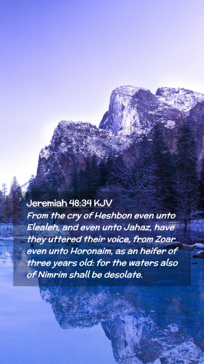 Picture 02 - Jeremiah 48:34 KJV Mobile Phone Wallpaper - From the cry of Heshbon even unto Elealeh, and - Mobile Bible Verse Wallpaper