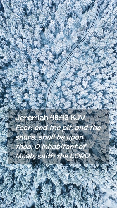 Picture 02 - Jeremiah 48:43 KJV Mobile Phone Wallpaper - Fear, and the pit, and the snare, shall be upon - Mobile Bible Verse Wallpaper