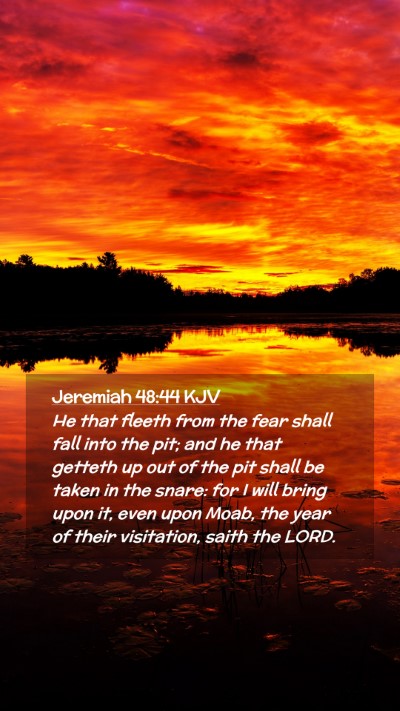 Picture 02 - Jeremiah 48:44 KJV Mobile Phone Wallpaper - He that fleeth from the fear shall fall into the - Mobile Bible Verse Wallpaper