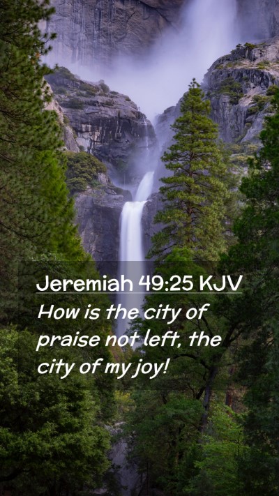 Picture 02 - Jeremiah 49:25 KJV Mobile Phone Wallpaper - How is the city of praise not left, the city of - Mobile Bible Verse Wallpaper