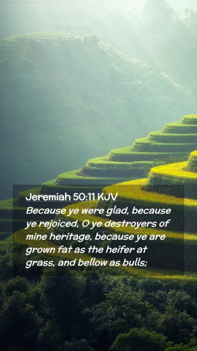 Picture 02 - Jeremiah 50:11 KJV Mobile Phone Wallpaper - Because ye were glad, because ye rejoiced, O ye - Mobile Bible Verse Wallpaper