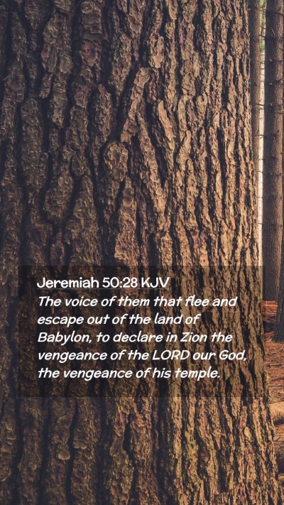 Picture 02 - Jeremiah 50:28 KJV Mobile Phone Wallpaper - The voice of them that flee and escape out of the - Mobile Bible Verse Wallpaper