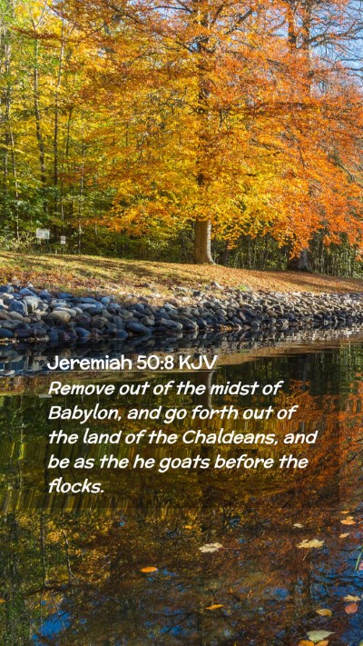 Picture 02 - Jeremiah 50:8 KJV Mobile Phone Wallpaper - Remove out of the midst of Babylon, and go forth - Mobile Bible Verse Wallpaper