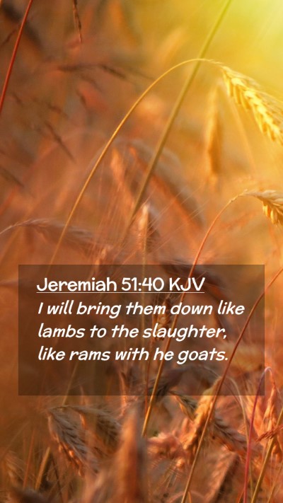Picture 02 - Jeremiah 51:40 KJV Mobile Phone Wallpaper - I will bring them down like lambs to the - Mobile Bible Verse Wallpaper
