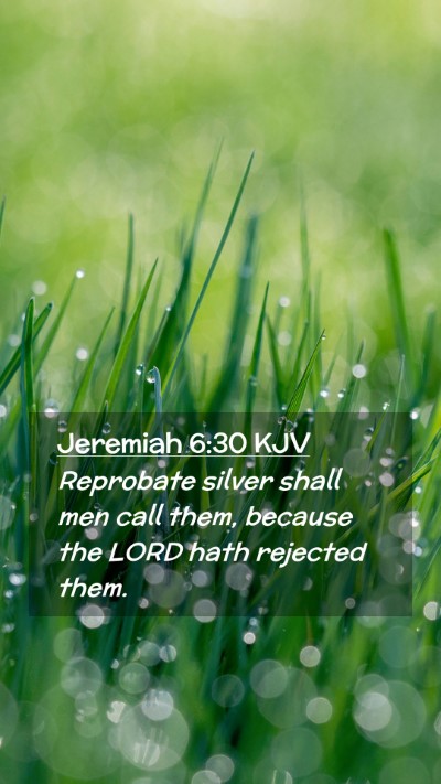 Picture 02 - Jeremiah 6:30 KJV Mobile Phone Wallpaper - Reprobate silver shall men call them, because the - Mobile Bible Verse Wallpaper