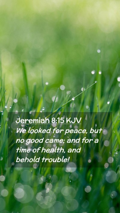 Picture 02 - Jeremiah 8:15 KJV Mobile Phone Wallpaper - We looked for peace, but no good came; and for a - Mobile Bible Verse Wallpaper