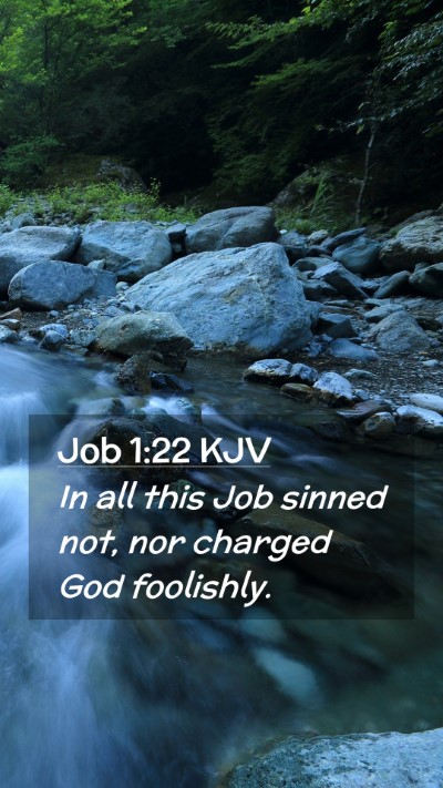 Picture 02 - Job 1:22 KJV Mobile Phone Wallpaper - In all this Job sinned not, nor charged God - Mobile Bible Verse Wallpaper
