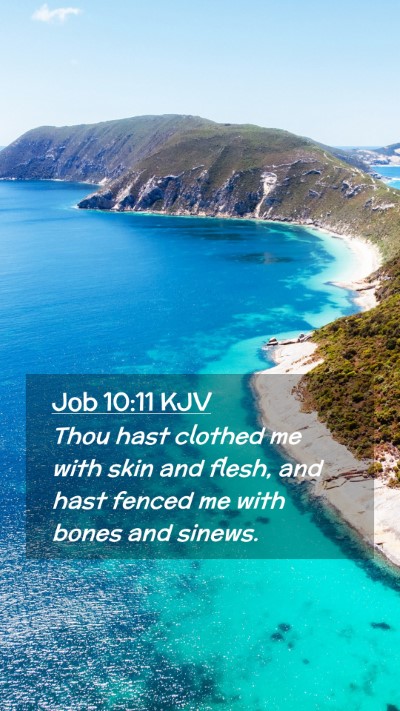 Picture 02 - Job 10:11 KJV Mobile Phone Wallpaper - Thou hast clothed me with skin and flesh, and - Mobile Bible Verse Wallpaper