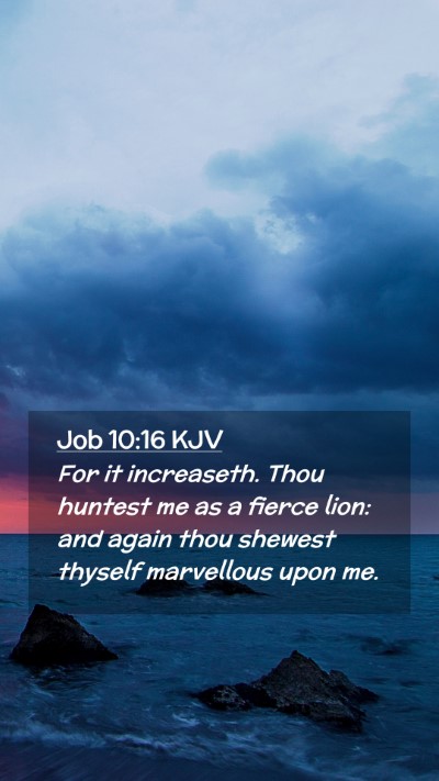 Picture 02 - Job 10:16 KJV Mobile Phone Wallpaper - For it increaseth. Thou huntest me as a fierce - Mobile Bible Verse Wallpaper