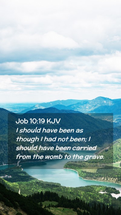 Picture 02 - Job 10:19 KJV Mobile Phone Wallpaper - I should have been as though I had not been; I - Mobile Bible Verse Wallpaper