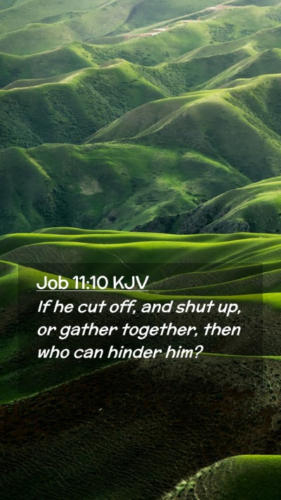Picture 02 - Job 11:10 KJV Mobile Phone Wallpaper - If he cut off, and shut up, or gather together, - Mobile Bible Verse Wallpaper