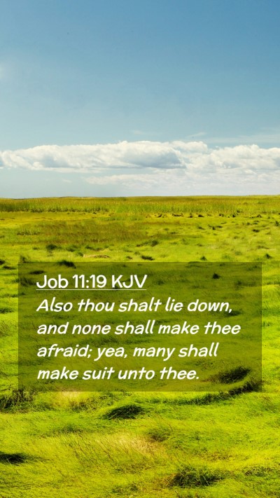 Picture 02 - Job 11:19 KJV Mobile Phone Wallpaper - Also thou shalt lie down, and none shall make - Mobile Bible Verse Wallpaper