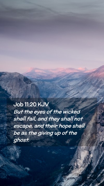 Picture 02 - Job 11:20 KJV Mobile Phone Wallpaper - But the eyes of the wicked shall fail, and they - Mobile Bible Verse Wallpaper