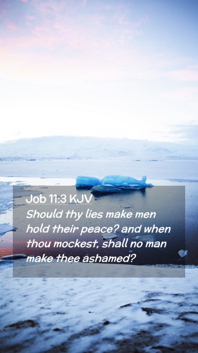 Picture 02 - Job 11:3 KJV Mobile Phone Wallpaper - Should thy lies make men hold their peace? and - Mobile Bible Verse Wallpaper