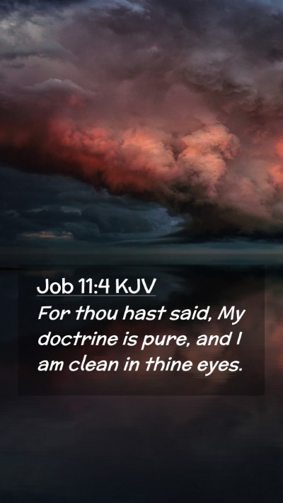 Picture 02 - Job 11:4 KJV Mobile Phone Wallpaper - For thou hast said, My doctrine is pure, and I am - Mobile Bible Verse Wallpaper