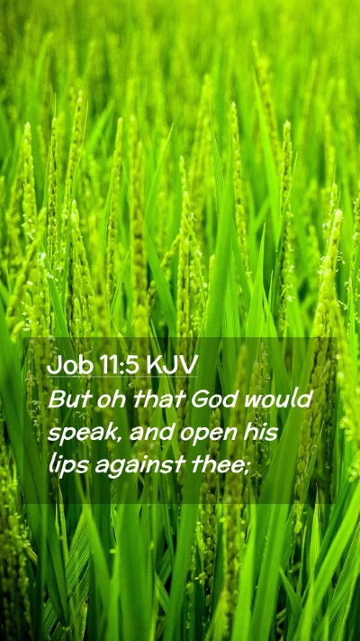 Picture 02 - Job 11:5 KJV Mobile Phone Wallpaper - But oh that God would speak, and open his lips - Mobile Bible Verse Wallpaper