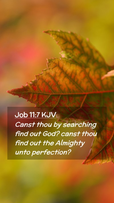 Picture 02 - Job 11:7 KJV Mobile Phone Wallpaper - Canst thou by searching find out God? canst thou - Mobile Bible Verse Wallpaper